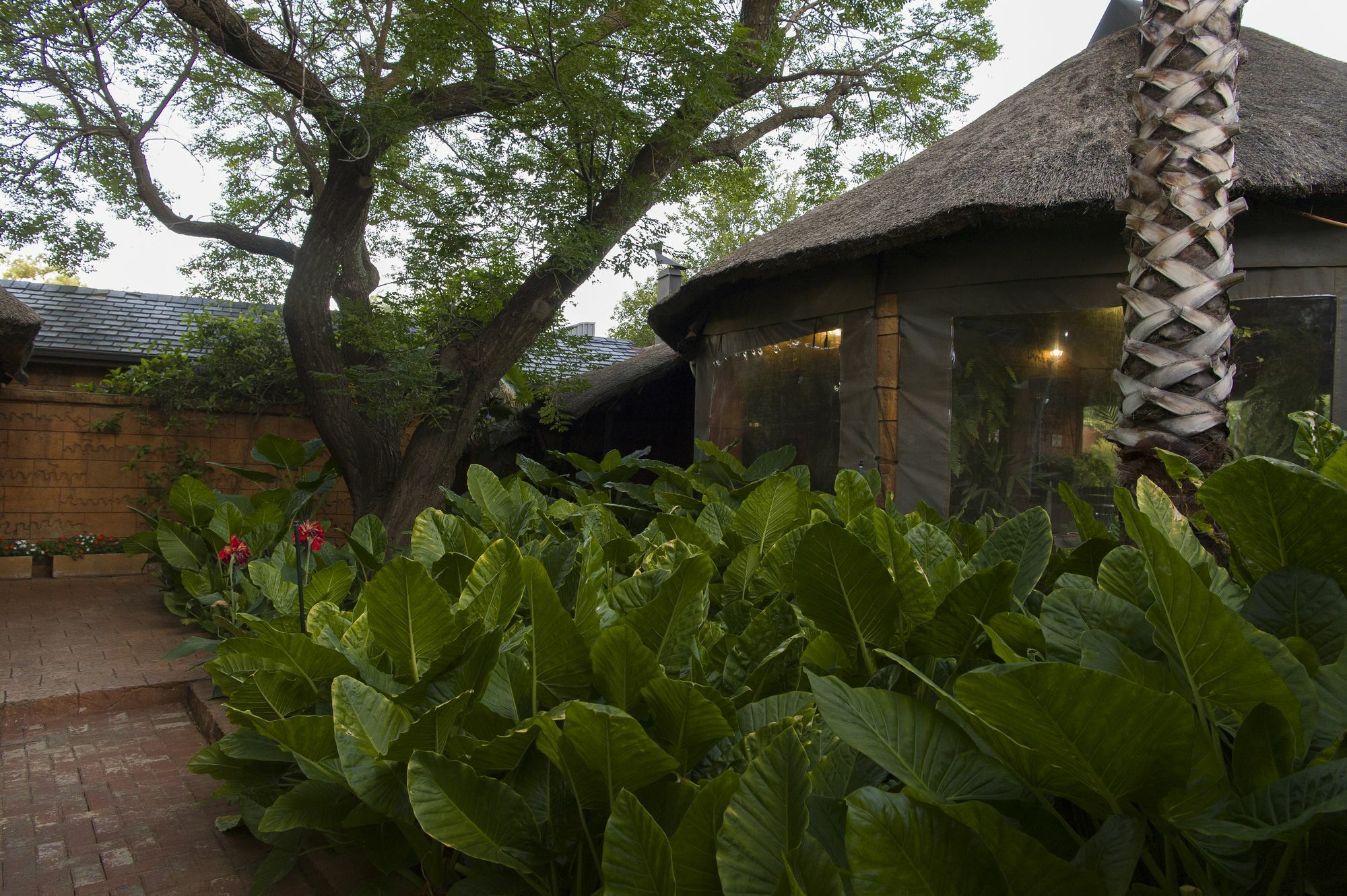 Bayswater Lodge Bloemfontein Ngoại thất bức ảnh